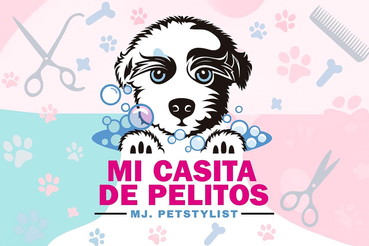 Banner Mi Casita de Pelitos
